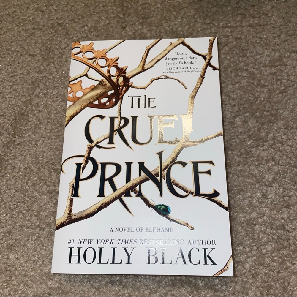 The Cruel Prince Holly Black Paperback Novel of‎ Elfhame Folk of the Air Book 1